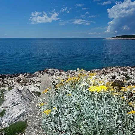 Lejlighed Cvjetan *