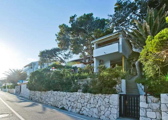 Cvjetan Hvar Town
